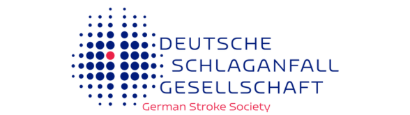 dsg-logo